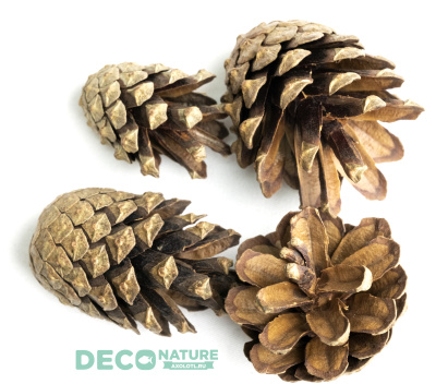 DECO NATURE PINE CONES - Сосновые шишки, шт
